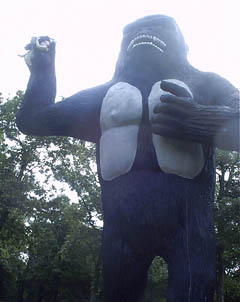 KONG